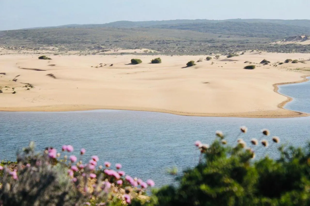 The Lighthouse Hostel Arrifana Aljezur Homestay